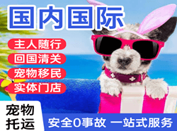 运城空运代理国际宠物托运 【国